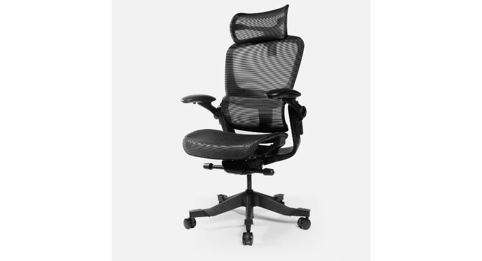 Ghế công thái học Epione Easy Chair (Màu Đen) 2 Ghế công thái học Epione Easy Chair (Màu Đen)