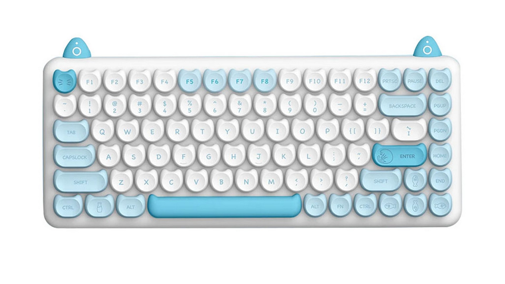 Bàn phím cơ IQUNIX M80 Purry Cat Persian Wireless RGB Kailh Red Switch