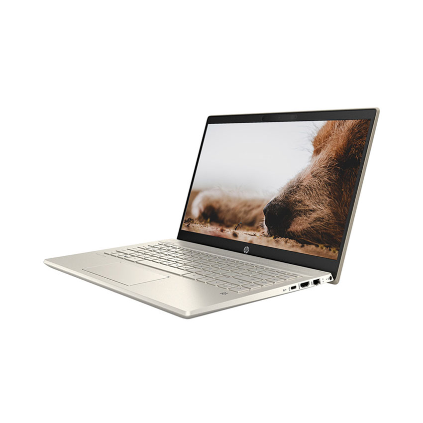 57699_pavilion14__2_ laptop HP Pavilion 14 thiết kế thời trang