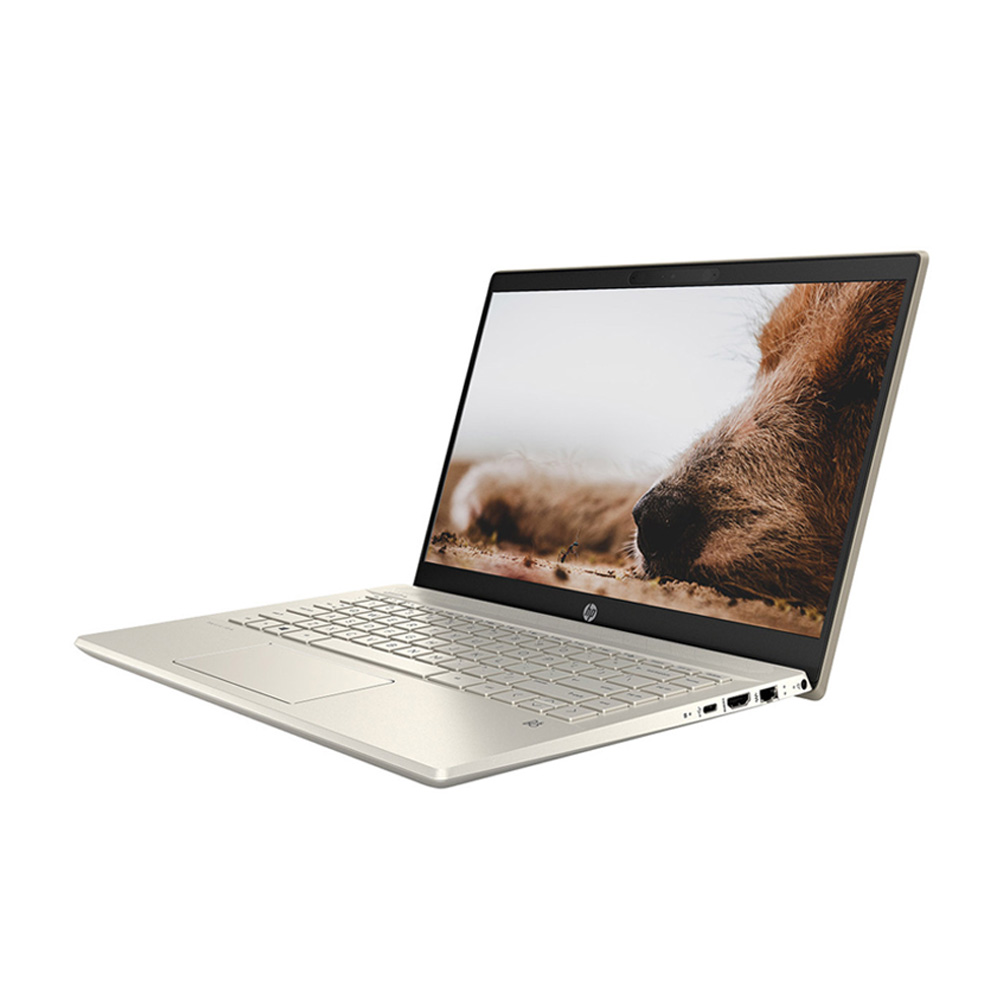 Laptop HP Pavilion 14-dv0042TU 14 inch FHD | i5 1135G7 | RAM 8GB | SSD 256GB | Win 10 | Gold) 3 Laptop HP Pavilion 14-dv0042TU 14 inch FHD | i5 1135G7 | RAM 8GB | SSD 256GB | Win 10 | Gold)