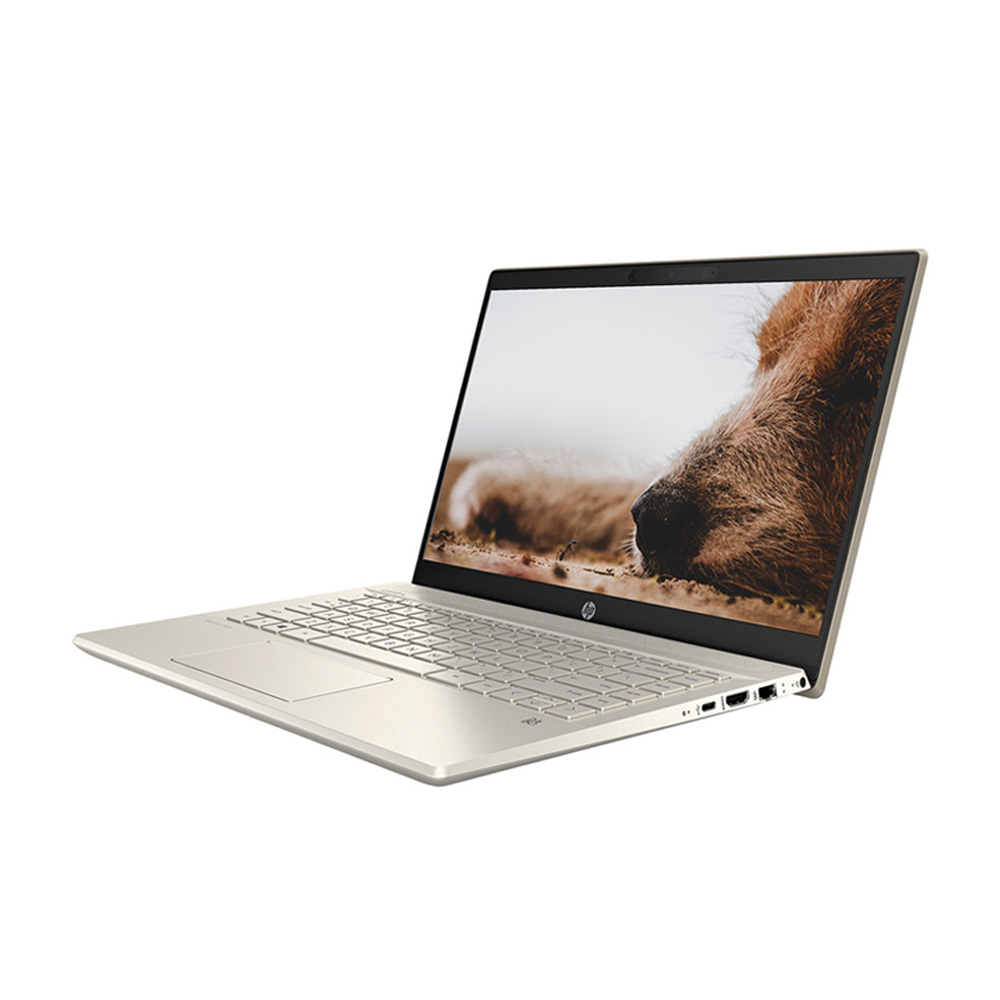 Laptop HP Pavilion 14-dv0008TU (14 inch FHD | i5 1135G7 | RAM 8GB | SSD 512GB | Win 10 | Gold) 3 Laptop HP Pavilion 14-dv0008TU (14 inch FHD | i5 1135G7 | RAM 8GB | SSD 512GB | Win 10 | Gold)