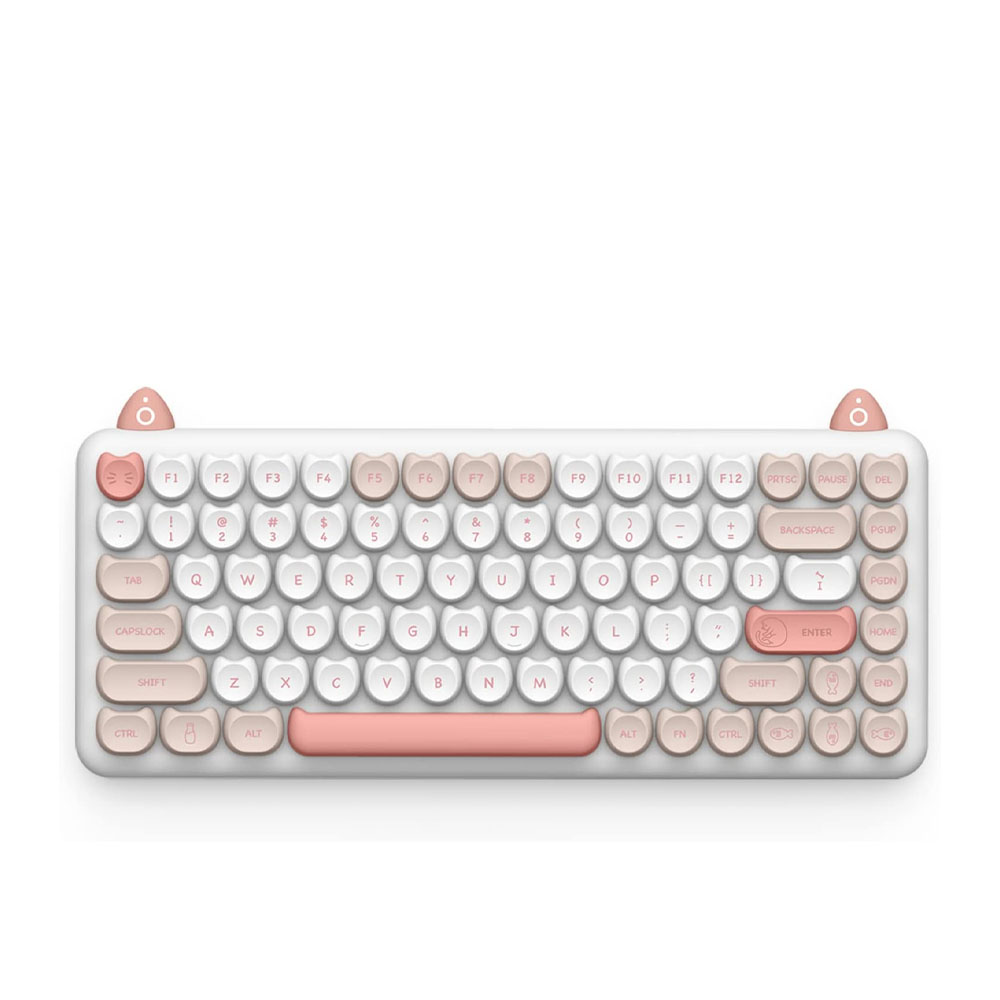 Bàn phím cơ IQUNIX M80 Purry Cat Ragdoll Wireless RGB Kailh Blue Switch