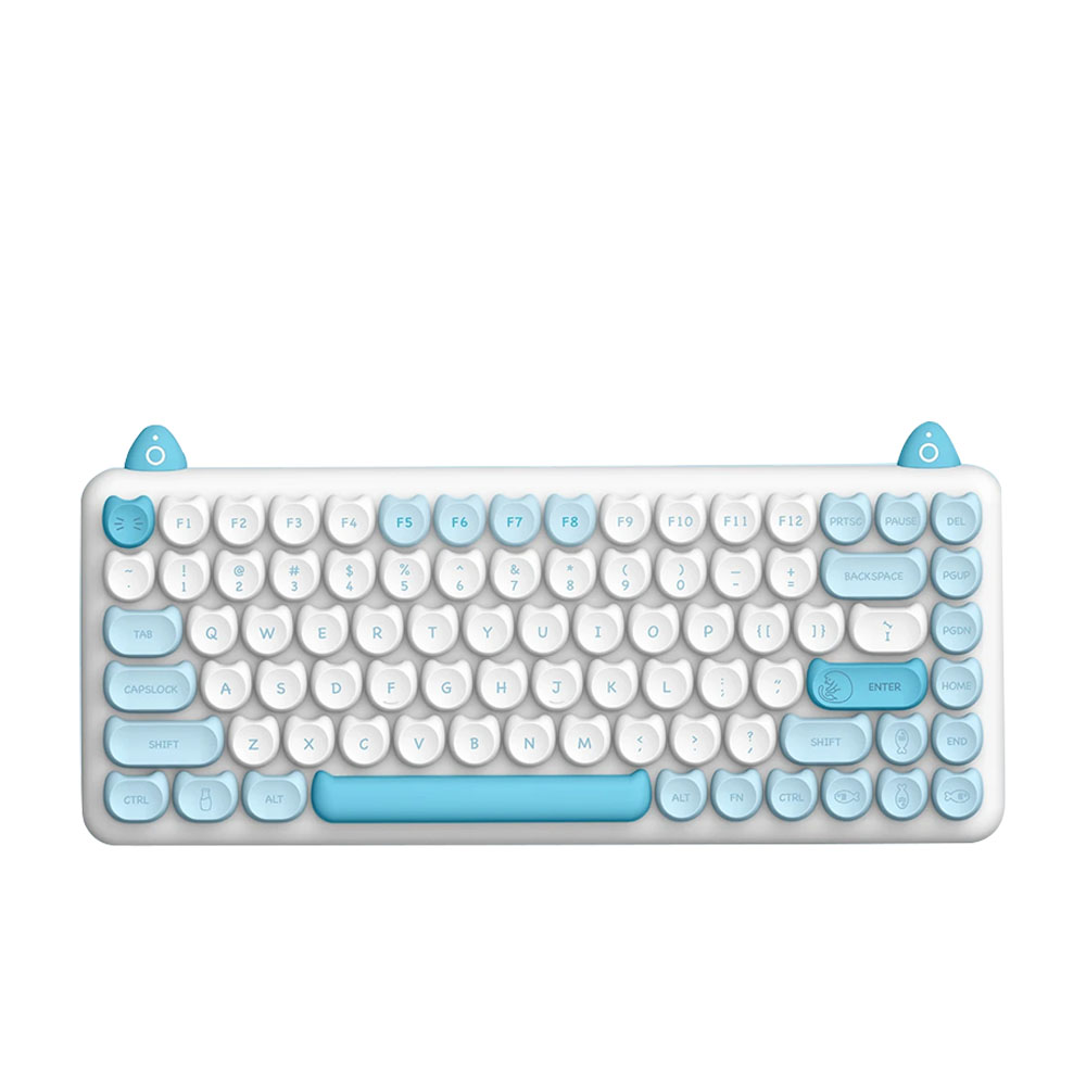 Bàn phím cơ IQUNIX M80 Purry Cat Persian Wireless RGB Kailh Blue Switch