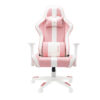 Ghế chơi game Warrior Raider Series WGC206 Plus - White/Pink