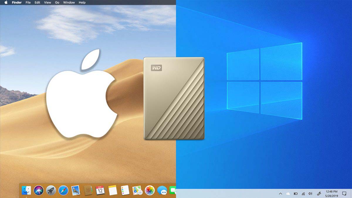 Hoạt động với Windows và Mac