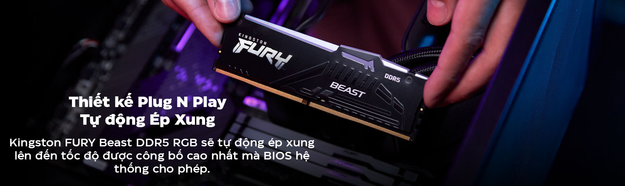 Thiết kế Plug N Play tự động ép xung ở tốc độ 4800Mhz