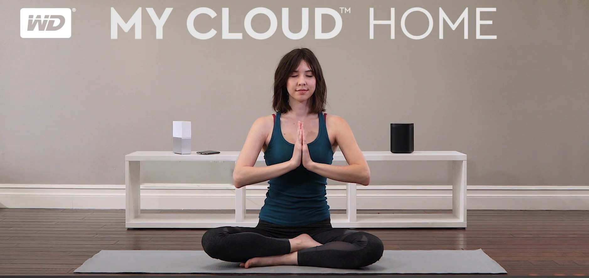 wd-my-cloud-home-o1-1 Tương thích rộng